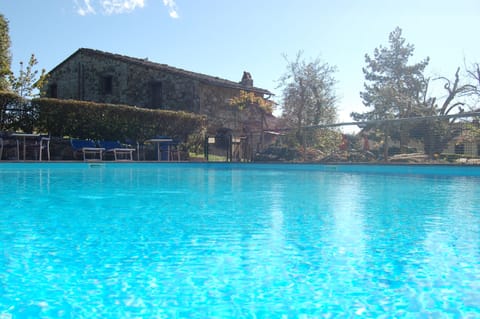 Outdoor pool, open 8:00 AM to 8:00 PM, pool umbrellas, sun loungers