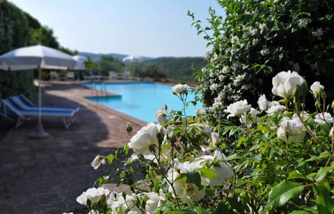 Outdoor pool, pool umbrellas, sun loungers