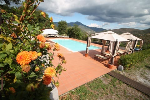 Seasonal outdoor pool, pool umbrellas, sun loungers