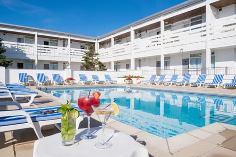 Indoor pool, sun loungers