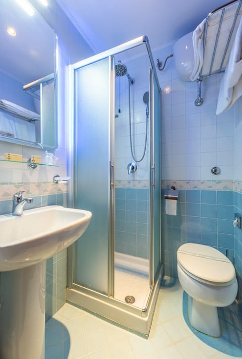 Single Room | Bathroom | Shower, free toiletries, hair dryer, towels