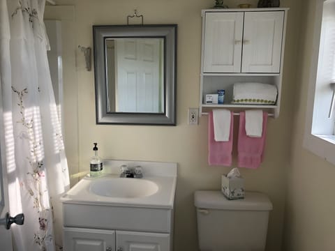 Standard Room, 1 Queen Bed, Refrigerator & Microwave, Lake View | Bathroom | Shower, hair dryer, towels