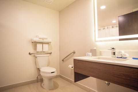 Standard Room, 1 King Bed, Accessible Bathtub | Bathroom | Shower, free toiletries, hair dryer, towels