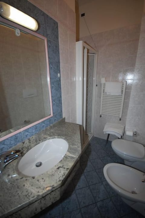 Shower, free toiletries, hair dryer, bidet