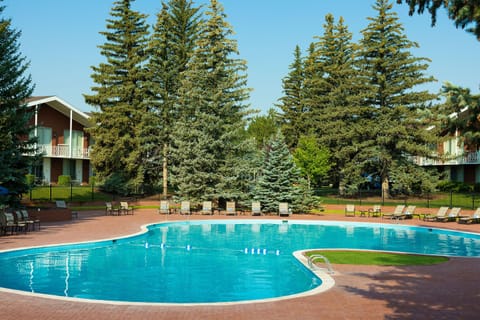 Seasonal outdoor pool, sun loungers