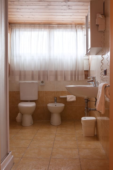 Shower, free toiletries, hair dryer, bidet