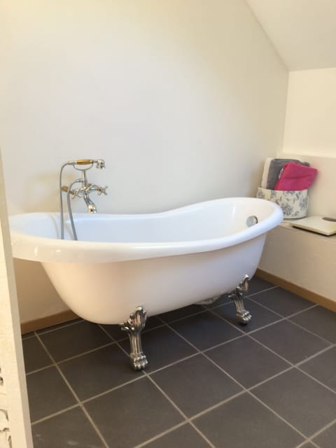 Suite | Bathroom | Free toiletries, hair dryer