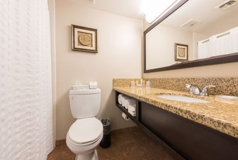 Suite, 1 King Bed | Bathroom | Combined shower/tub, free toiletries, hair dryer, towels