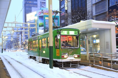 Train station shuttle