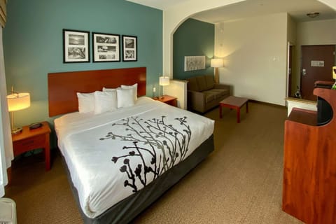 Premium bedding, in-room safe, individually decorated