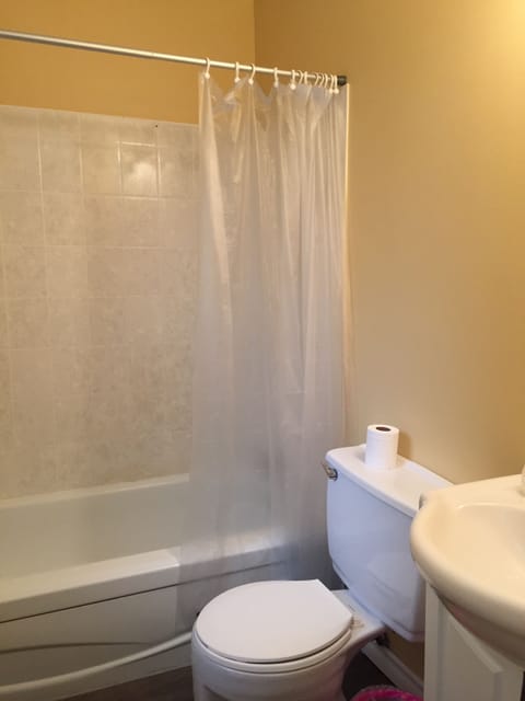 Combined shower/tub, free toiletries, towels