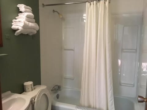 Combined shower/tub, hair dryer, towels