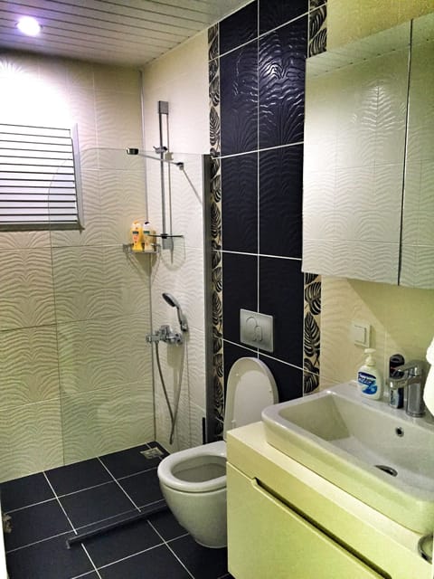 Basic Apartment | Bathroom | Shower, free toiletries, hair dryer, towels