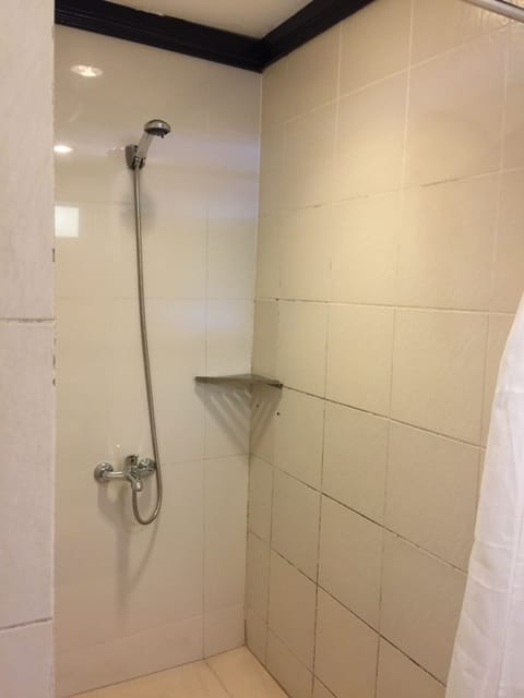 Room | Bathroom | Shower, free toiletries, hair dryer, slippers