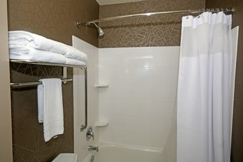 Combined shower/tub, free toiletries, hair dryer, towels