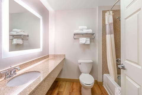 Combined shower/tub, free toiletries, hair dryer, towels