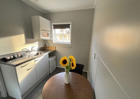 Basic Studio, 1 King Bed, Non Smoking, Air conditioning | Private kitchen | Fridge, microwave, toaster, cookware/dishes/utensils