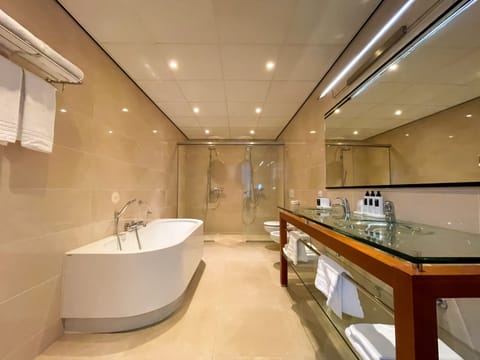 Executive Suite | Bathroom | Hair dryer, towels, soap, shampoo