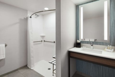 Room, Accessible | Bathroom shower