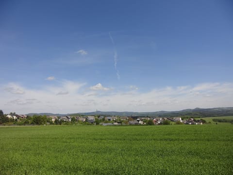 Land view from property