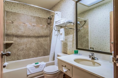 Combined shower/tub, free toiletries, hair dryer, towels