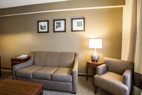 Deluxe Suite, Non Smoking | In-room safe, desk, iron/ironing board, free wired internet