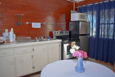 Cabin, Kitchen, Sea View (Captain's) | Private kitchenette | Fridge, coffee/tea maker