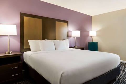 Room, 1 King Bed, Non Smoking | Premium bedding, pillowtop beds, in-room safe, desk