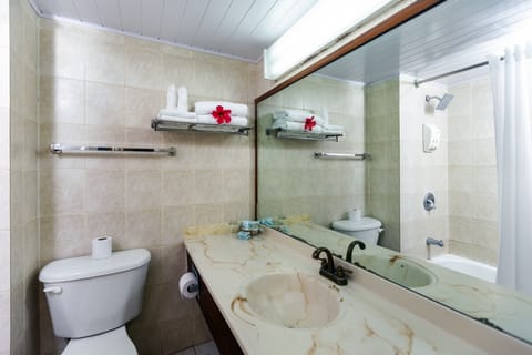 Combined shower/tub, free toiletries, hair dryer, towels