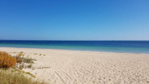 On the beach