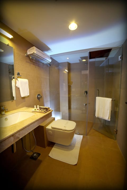 Standard Double Room | Bathroom | Shower, slippers, towels