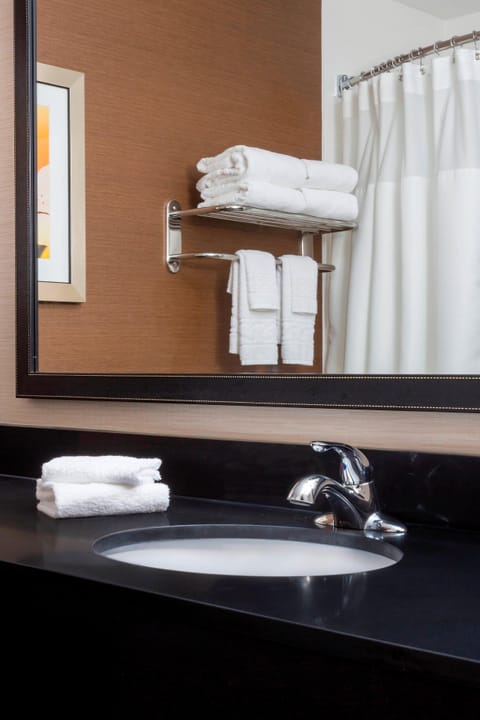 Executive Suite, 1 King Bed with Sofa bed | Bathroom | Combined shower/tub, hair dryer, towels