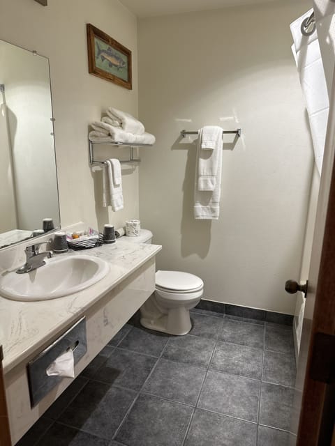 One king bed nonsmoking view room | Bathroom | Combined shower/tub, towels