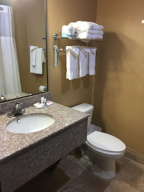 Combined shower/tub, free toiletries, hair dryer, towels