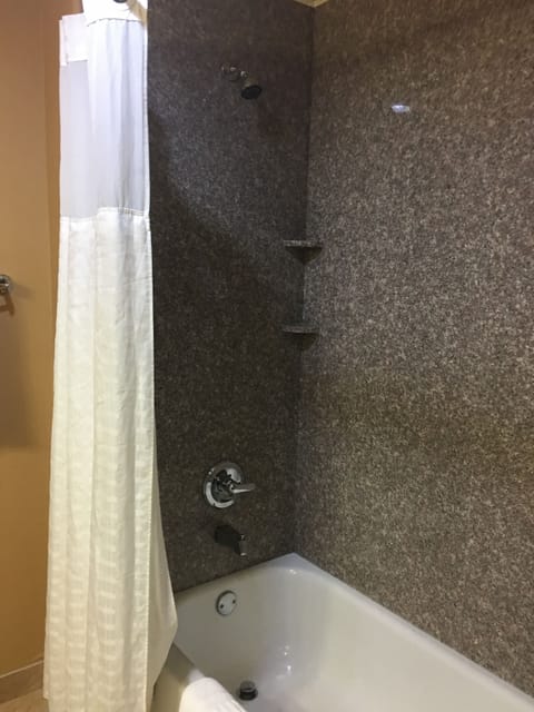 Combined shower/tub, free toiletries, hair dryer, towels
