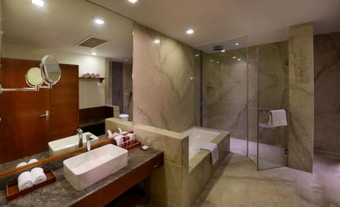 Suite | Bathroom | Shower, free toiletries, hair dryer, towels