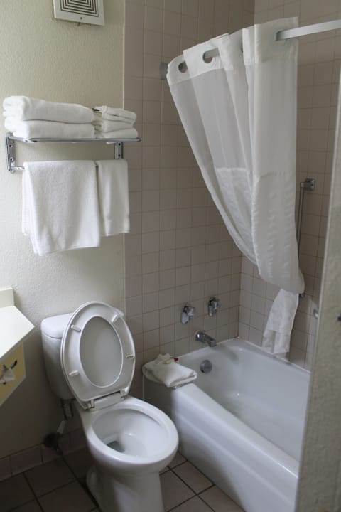 Combined shower/tub, free toiletries, hair dryer, towels