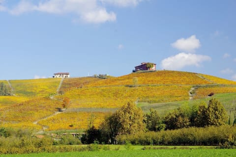 Land view from property