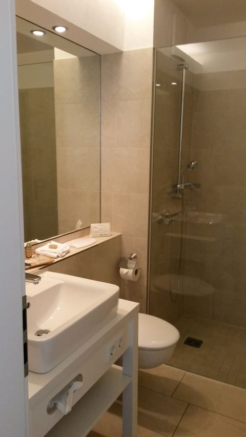 Double Room | Bathroom | Shower, free toiletries, hair dryer, bathrobes