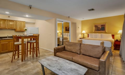 Studio Suite, 1 King Bed, Kitchen | Living area | 32-inch plasma TV with cable channels, TV