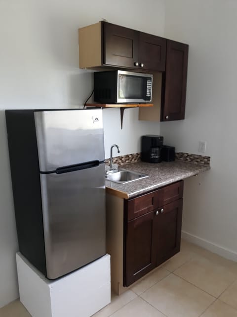 Deluxe Suite | Private kitchenette | Fridge, microwave, coffee/tea maker, electric kettle