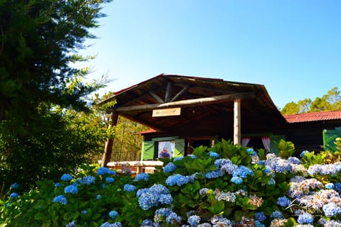 Family Cabin | View from room