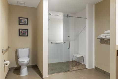 Combined shower/tub, hair dryer, towels