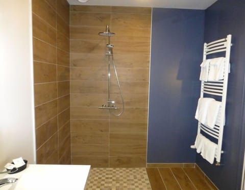 Deluxe Double Room (2 adults + 1 child) | Bathroom shower