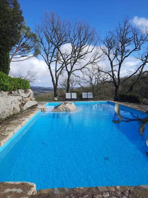 Outdoor pool, open 8:00 AM to 8:00 PM, sun loungers