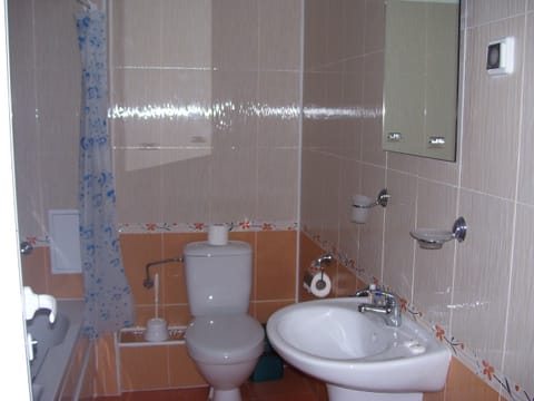 Basic Studio, 1 Bedroom, Non Smoking, Mountain View | Bathroom | Free toiletries, hair dryer, towels