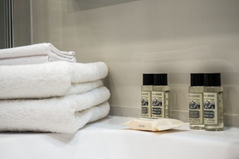 Deluxe Room, Park View | Bathroom | Deep soaking tub, rainfall showerhead, free toiletries, hair dryer