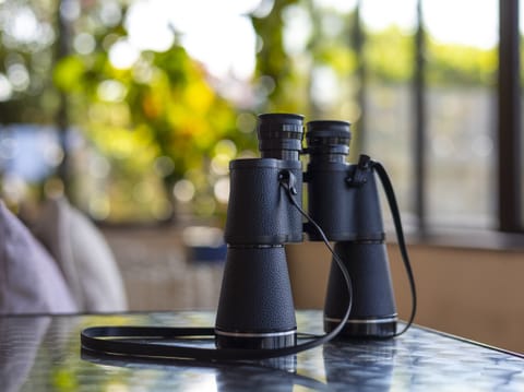 Cottage | Miscellaneous