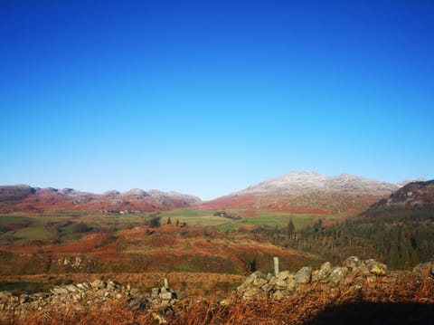 Cottage | Miscellaneous