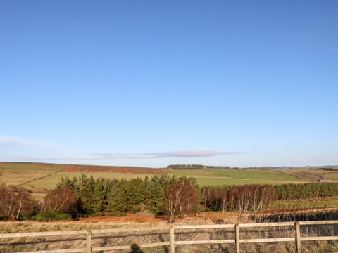 Cottage | Miscellaneous